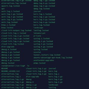 باج افزار ssh